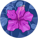 Profilbild von „Elena E.“
